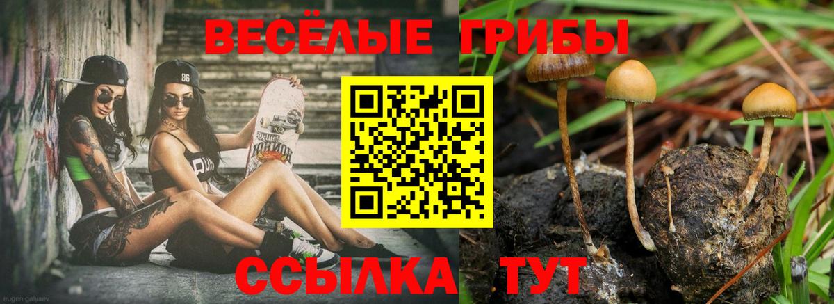 Усинск  Псилоцибиновые грибы MAGIC MUSHROOMS  Вход с VPN 